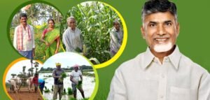 Annadhatha Sukhibhava 2025 Status Check